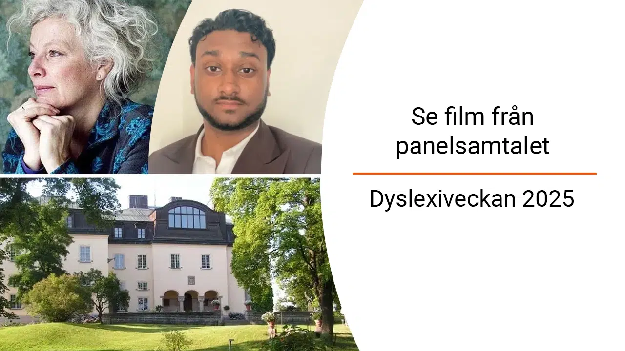 panelsamtal-waldemarsudde 2025